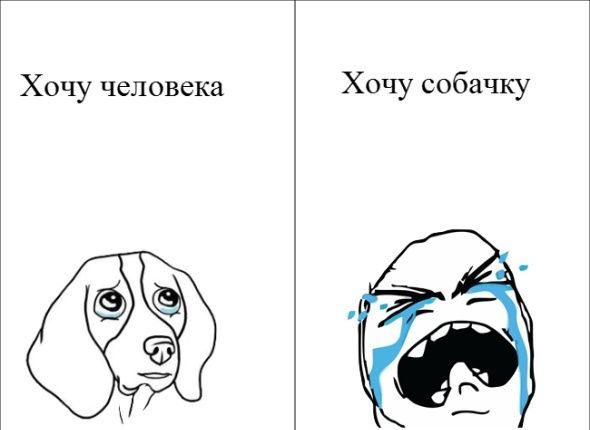 Открытка хочу собаку