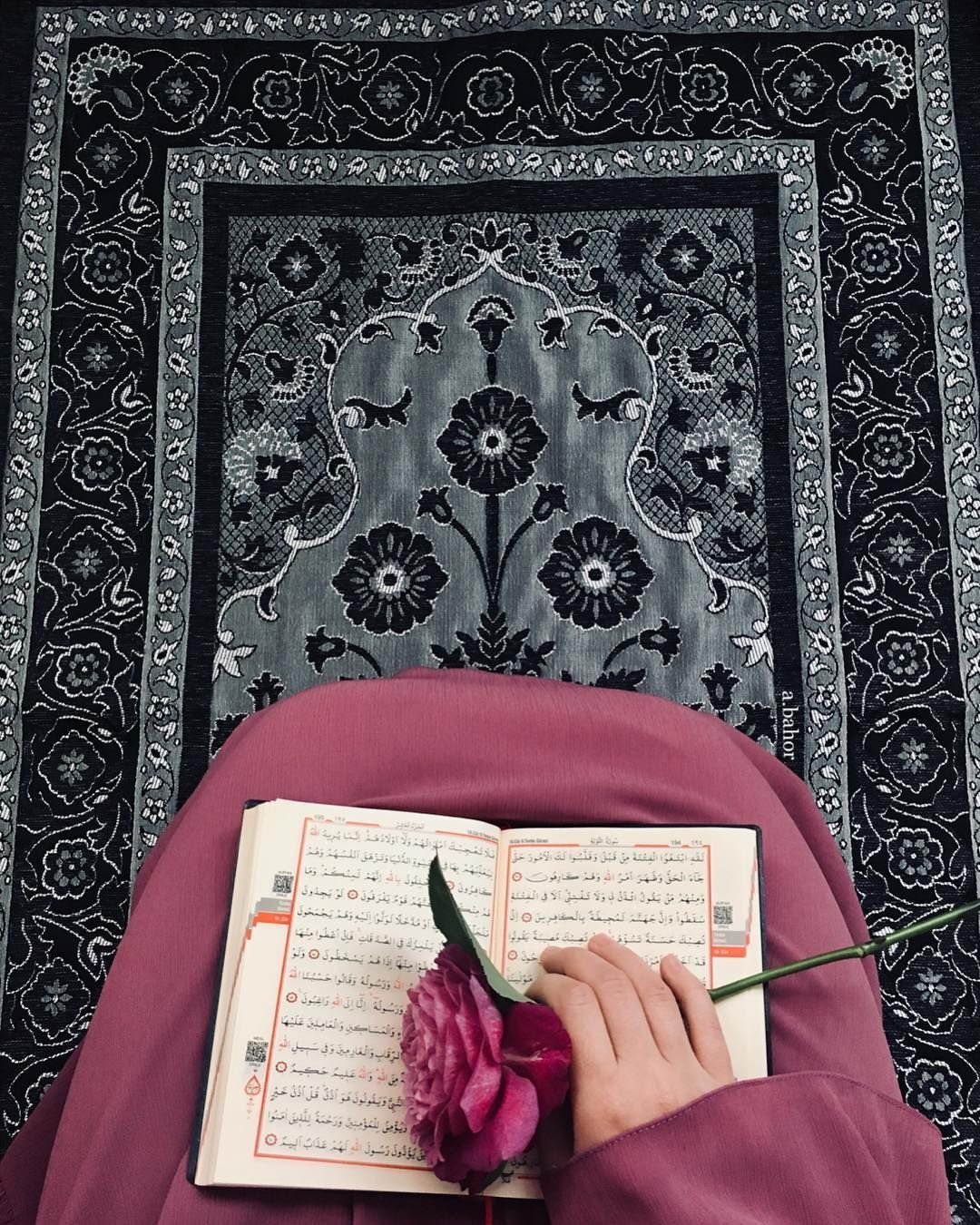 Читать коран в телефоне. Мусульманка и Коран. Мусульманка книга. Девушка с Кораном.