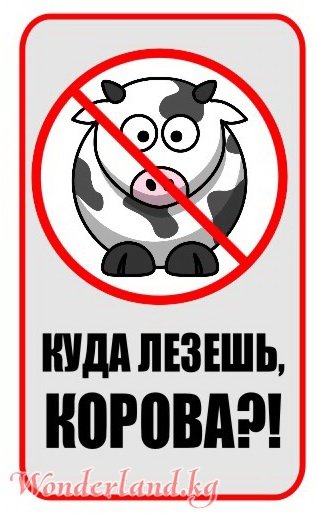 Не лезь в холодильник