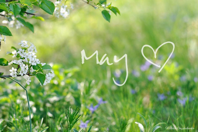 Верим май май. Праздник на природе. Месяц май. Майские картинки. Прекрасный месяц май.