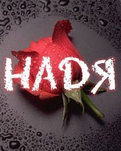 Аватарки с именем Надежда