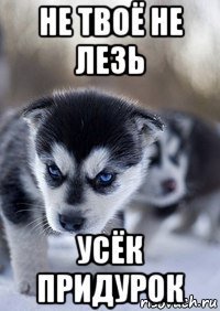 Не лезь в мой телефон