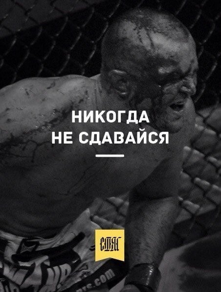 Никогда не сдавайся надпись