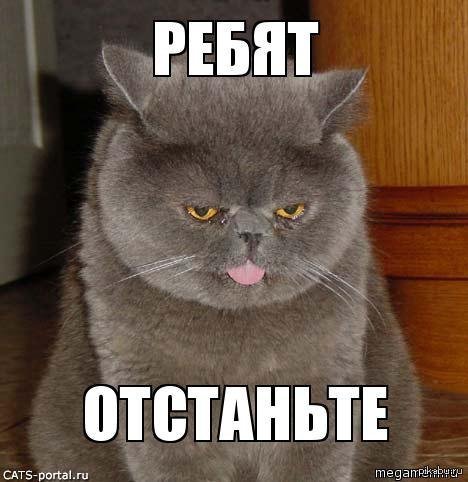 Надпись отстань от меня
