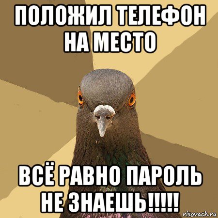 Положи телефон на место Мем