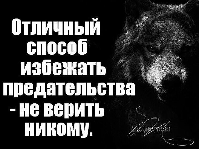 Никогда никого не бойся. Не верь никому цитаты. Не верь не кому. Я никому не верю. Волка предали.