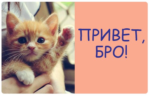 Привет бро Мем