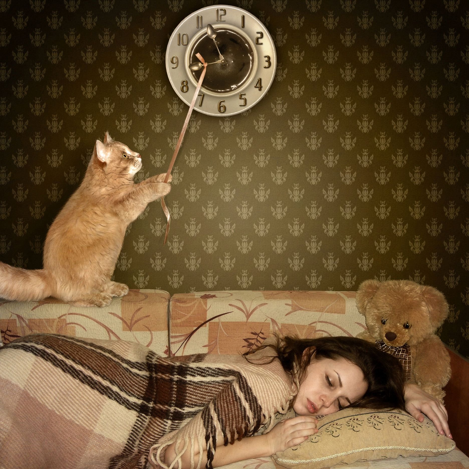Утренний сон. Утренний котик. Кошка проснулась. Кот будильник.