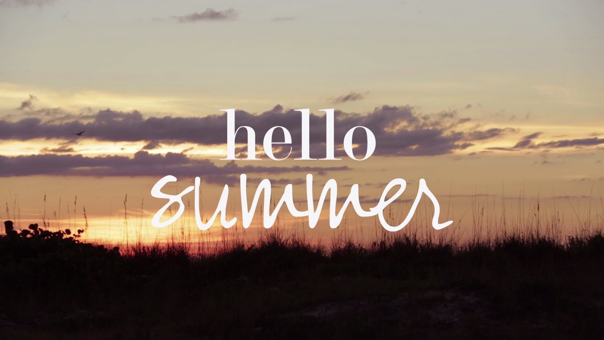 Песня привет лето. Summer надпись. Лето надпись. Привет лето. Лето картинки с надписью.
