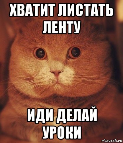 Делай уроки Мем