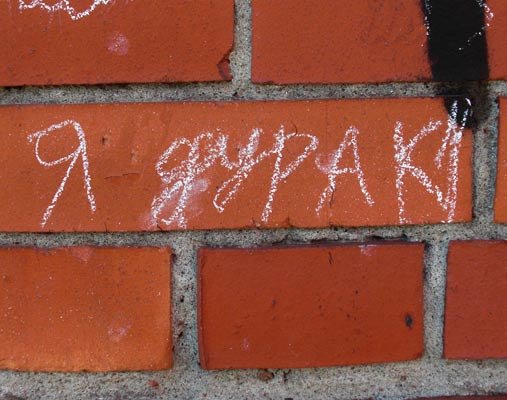 Обои с надписью я дурак (41 фото)