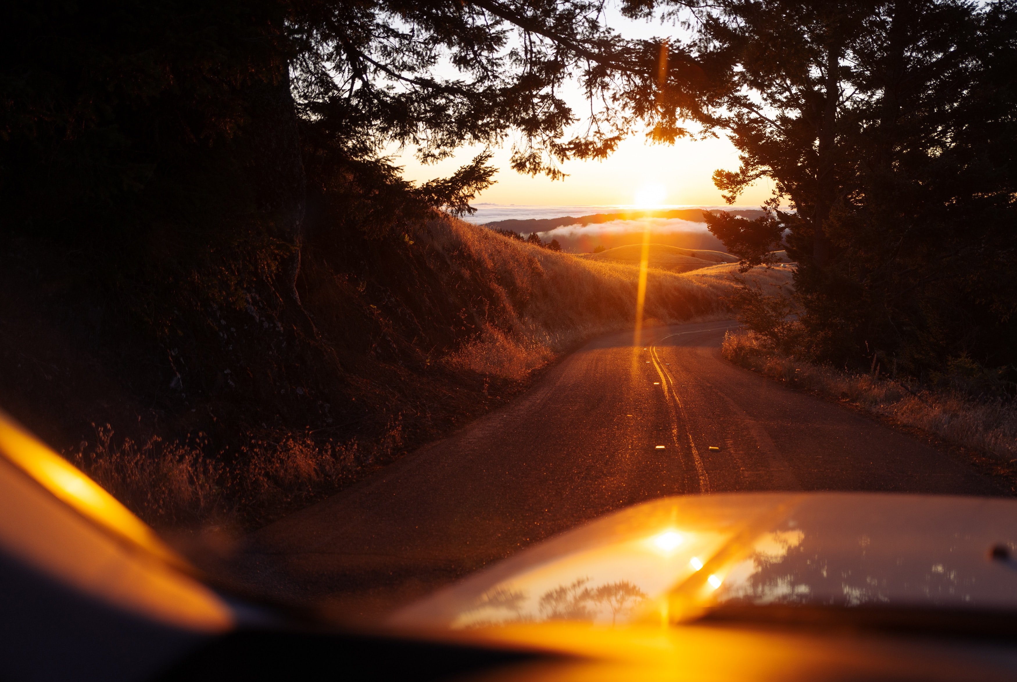 Там где звезды ярче солнца speed. Дорога закат. Закат дорога машина. Дорога на рассвет. Солнце на дороге.