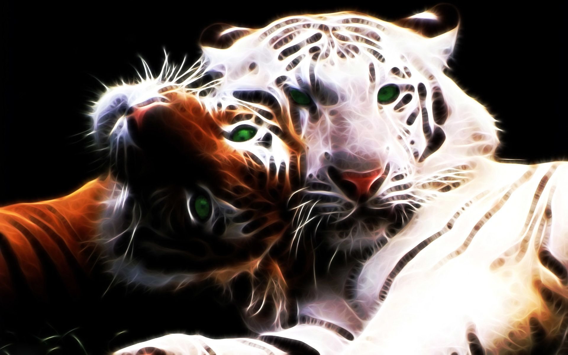 Живые обои тигр. Тигр на заставку. Обои на рабочий стол тигр. Тигрица. Тигр и тигрица.
