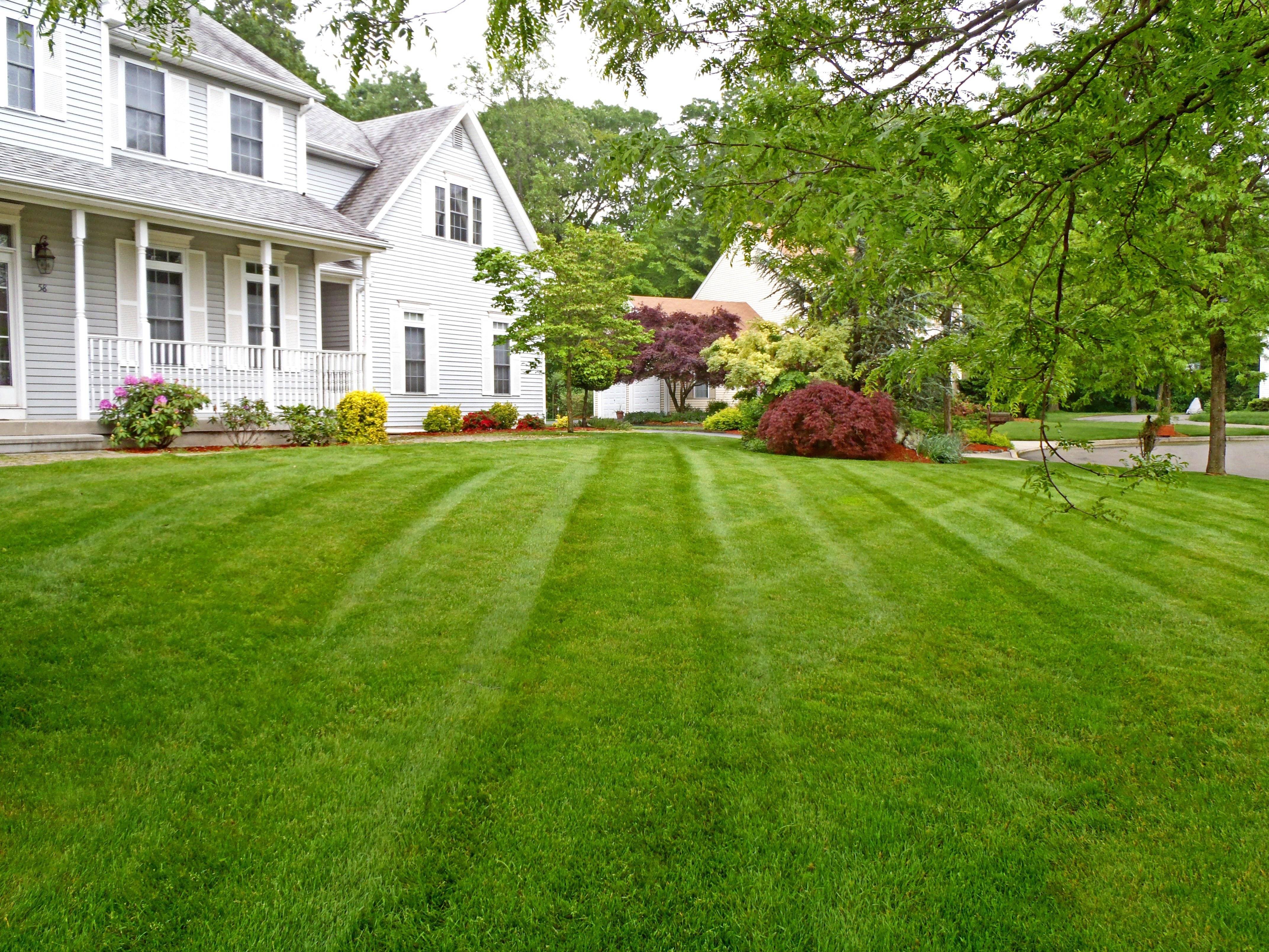 Трава трава у дома зеленая. США дом дерн. Газон Американ Грин. Красивый газон. Красивый загородный дом с газоном.