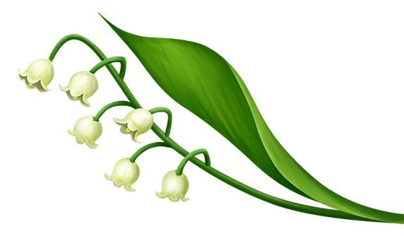 Веточка ландыша