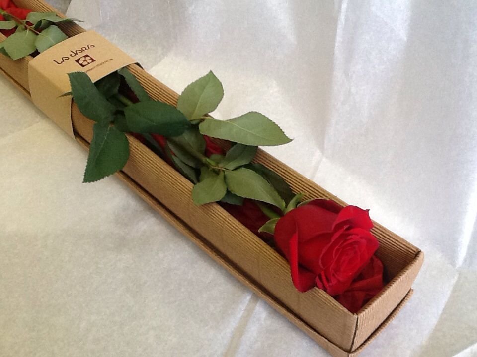 Можно дарить один цветок. Подарочные коробки для цветов. Красивая упаковка для цветов. Розы в упаковке. Флористическая упаковка.