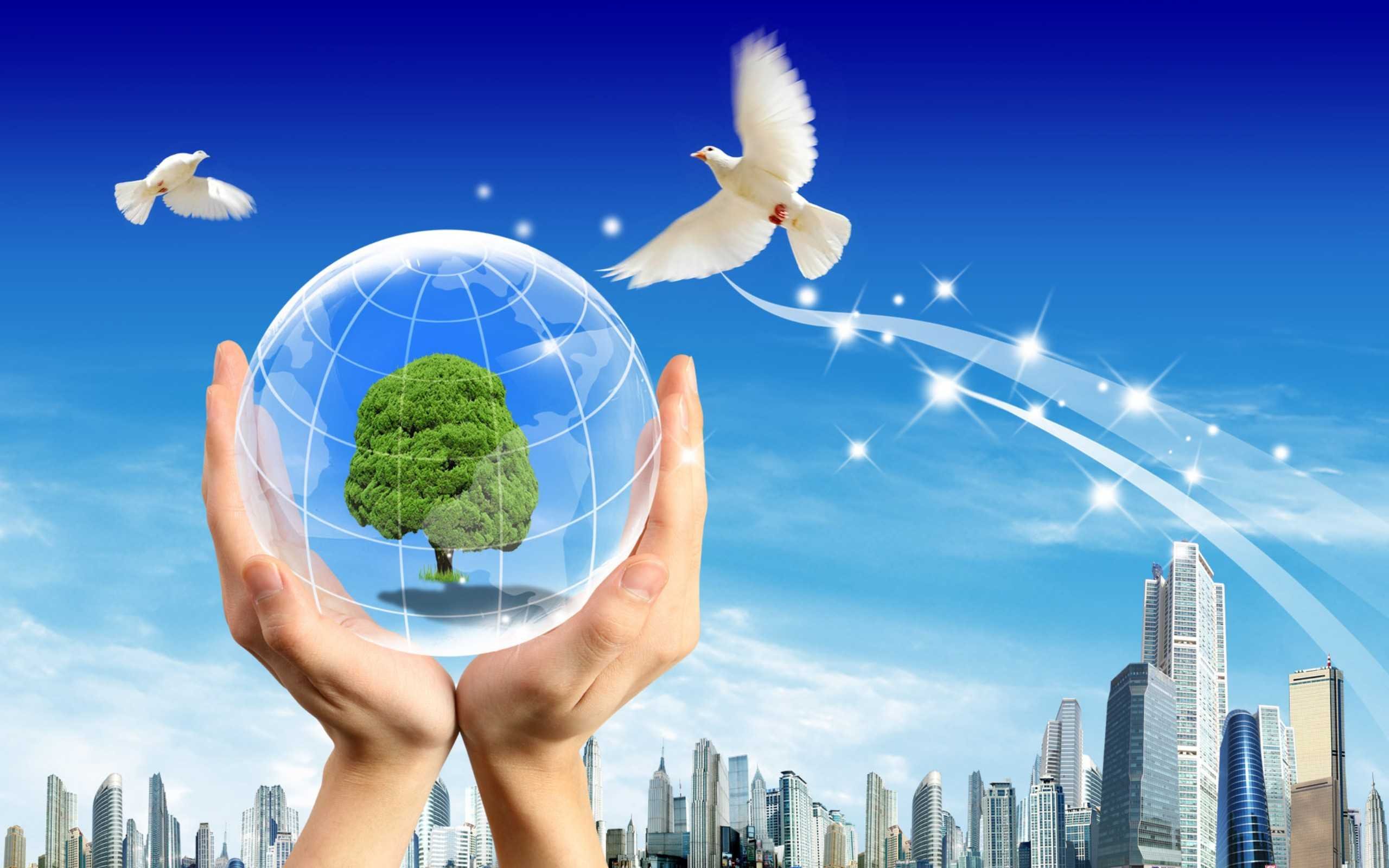 Открываем мир вместе. Природа экология человек. "И на земли мир…". Человек и окружающая среда. Будущее в моих руках.
