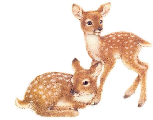 Олененок для детей