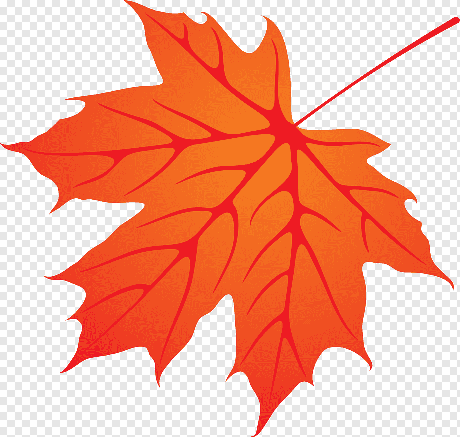 Осенний лист рисунок. Осенние листья. Кленовый лист. Кленовые листочки. Осенний листок.