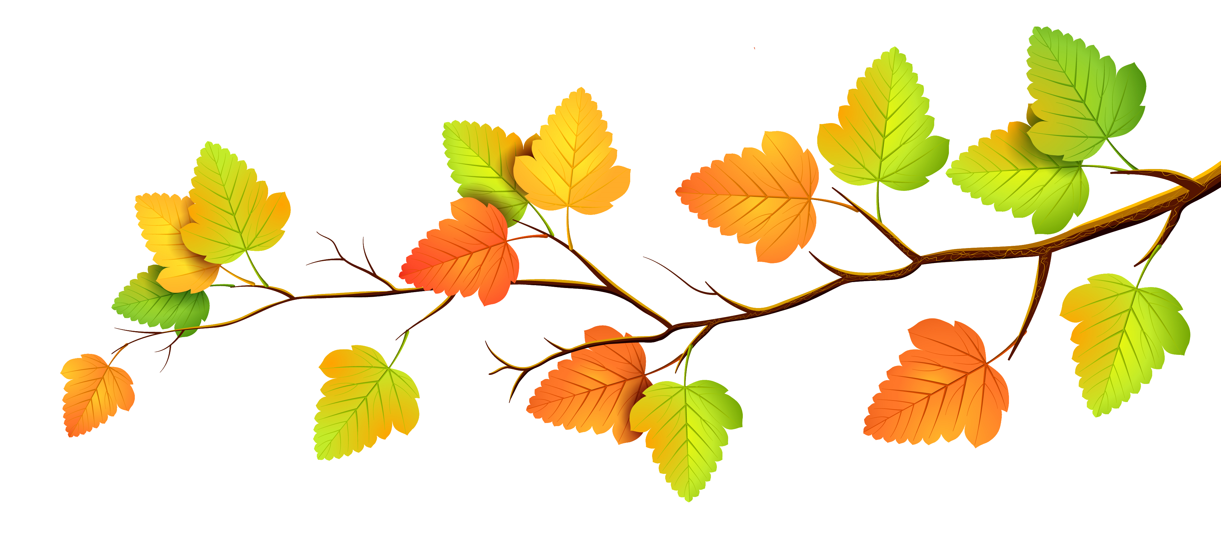 Ветка осенних листьев. Осенняя ветка. Клипарт осенние листья на прозрачном фоне. Ветка на белом фоне. Осенний клипарт на прозрачном фоне.