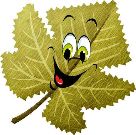 Осенние листья смайлики на прозрачном фоне (36 фото)
