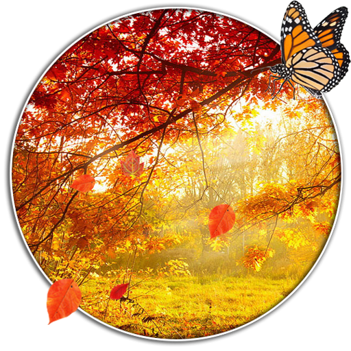 Осень круглое