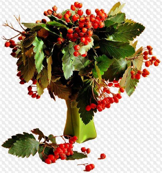 Ваза с калиной