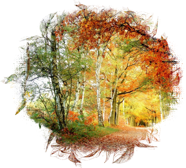 Пейзажи осени на прозрачном фоне