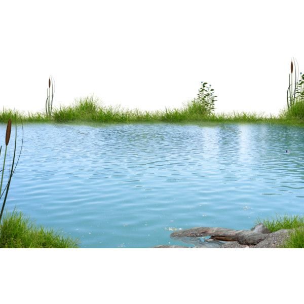 Пруд без фона