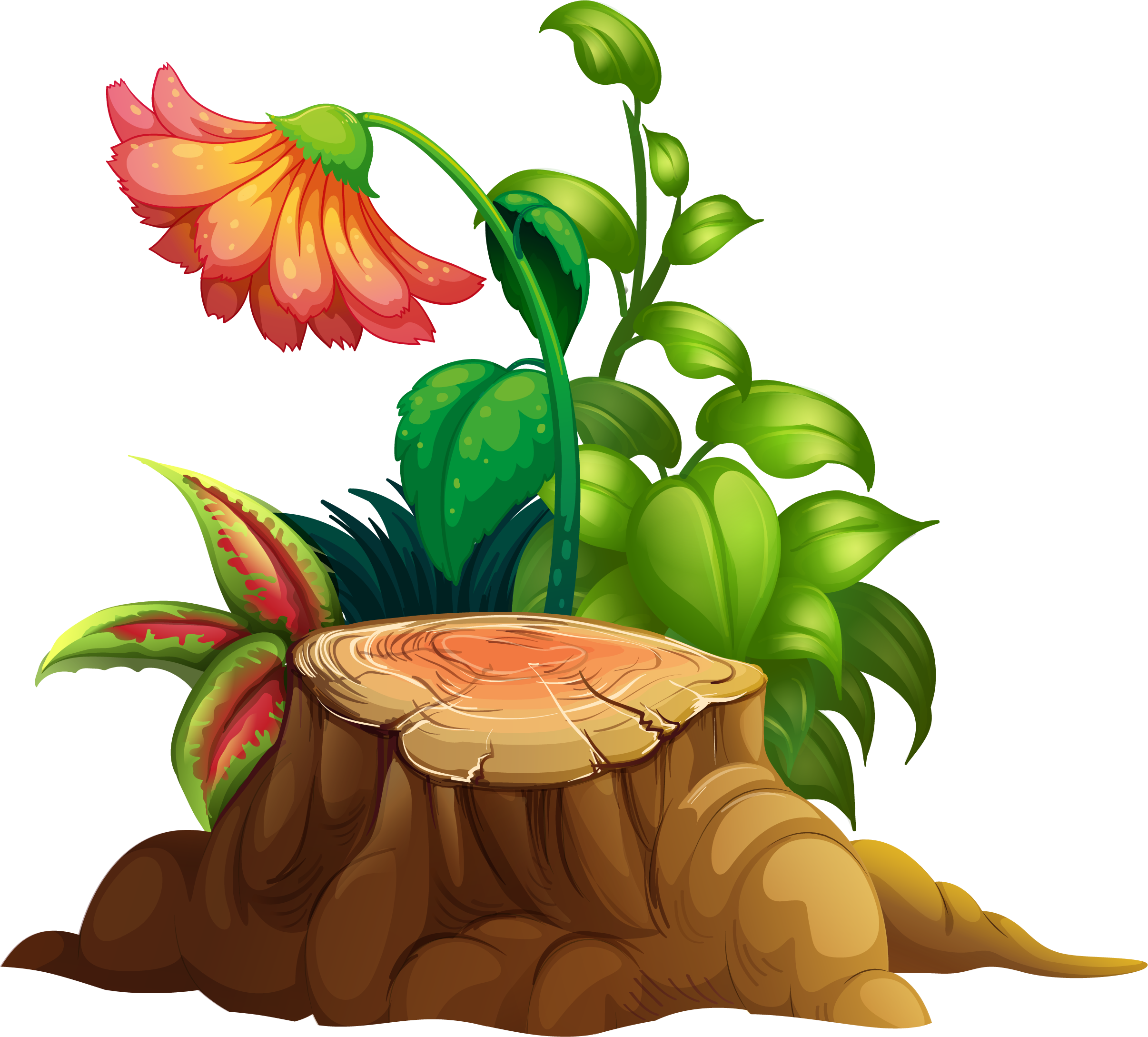 Пенек картинка для детей