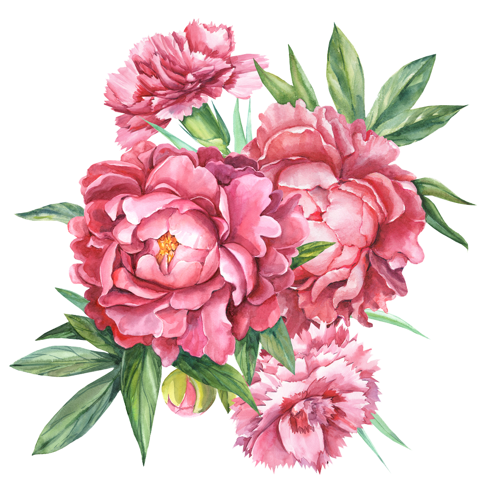 Пионы вектор. Carnation Bouquet пион. Акварельные пионы Gyu. Пион пиксарт. Розы пионы акварель.