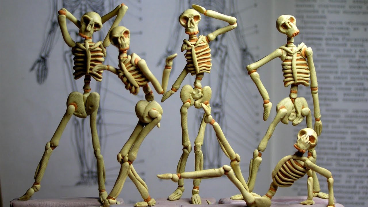 Скелет из пластилина. Лепка скелета. Скелетик из пластилина. Лепка скелета человека.