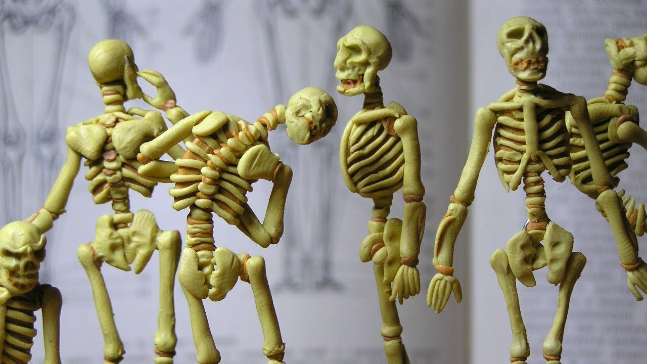 Скелет из пластилина. Лепка скелета. Лепка фигуры человека. Лепка скелета человека.