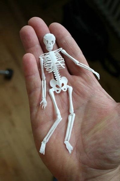 Скелет из пластилина. ПЛАСТИЛИНОВЫЙ скелет. Поделка скелет. Скелет из бумаги.
