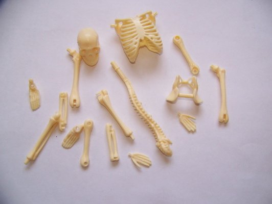 Скелет из пластилина. Лепка скелета. Кости из пластилина. Лепка скелета человека. ПЛАСТИЛИНОВЫЙ скелет.