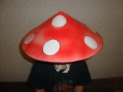 Костюмы и шляпы грибов купить в Калининграде - 21 вариант