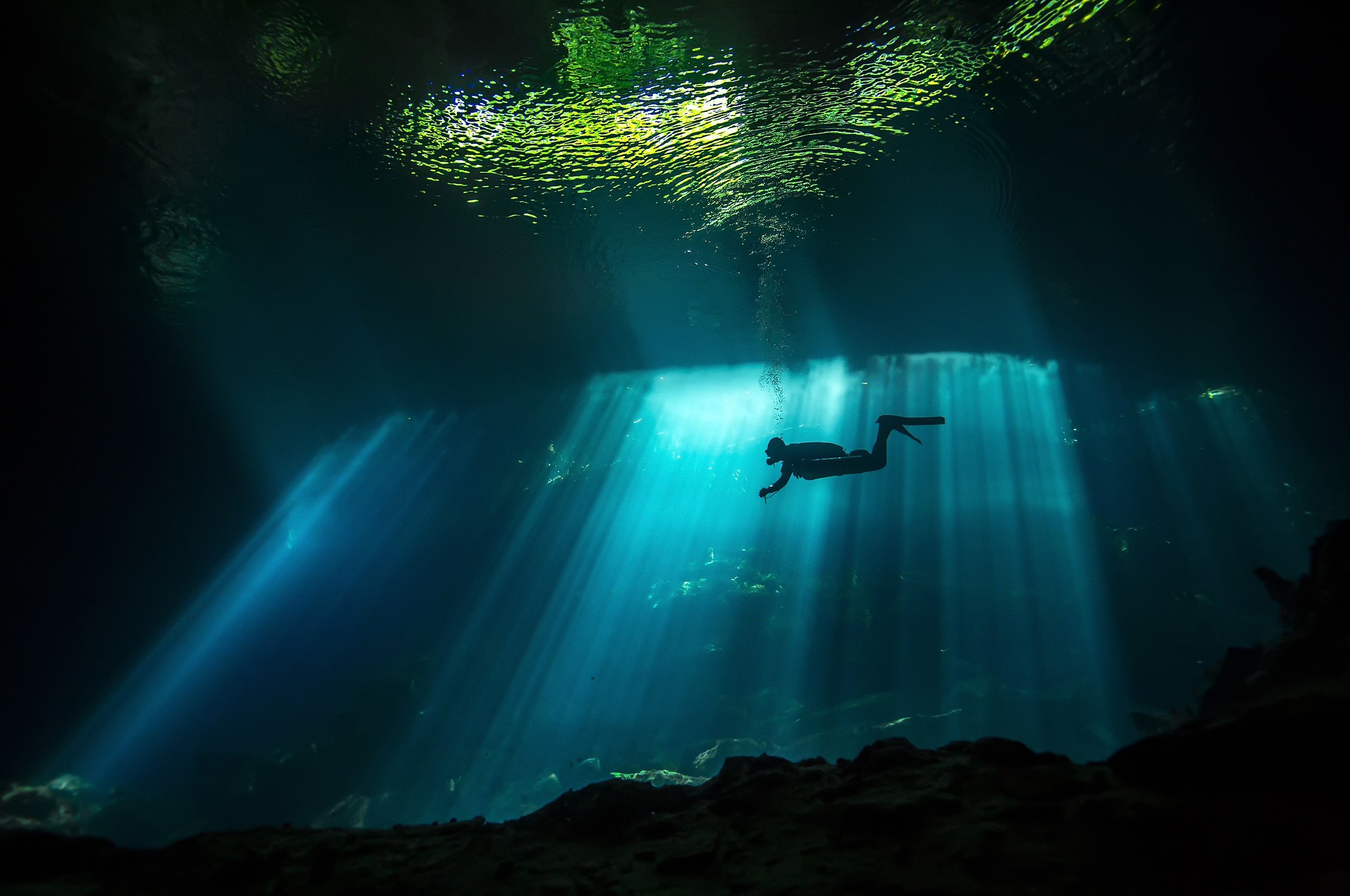 Мир подводной глубине. Филиппины Сеноты дайвинг. Мексика Сеноты дайвинг. Мексика Сеноты фридайвинг. Океан под водой.
