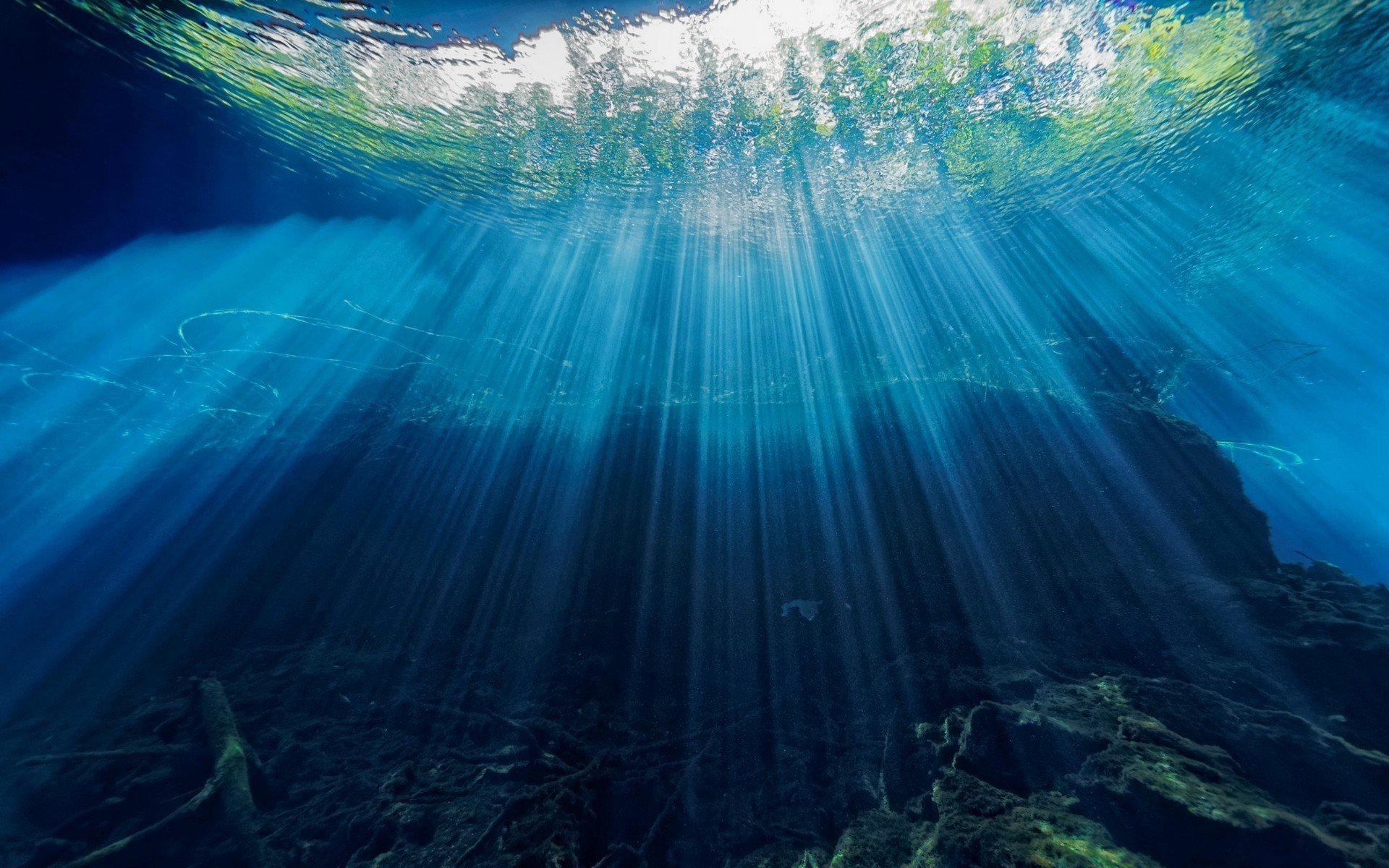 Звук морской глубины. Океаны. Глубина. Море под водой. Океан под водой. Дно океана.