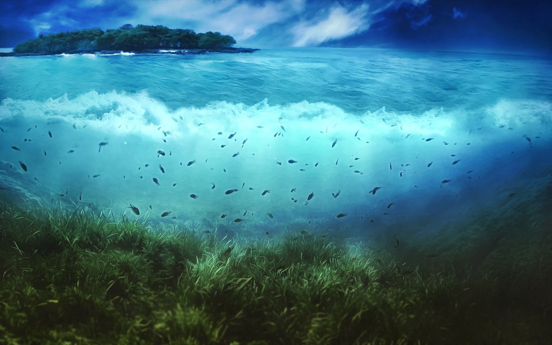 Природа подводный мир. Океан под водой. Подводные пейзажи. Море под водой. Морские глубины.