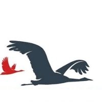 Журавли поисковое движение России