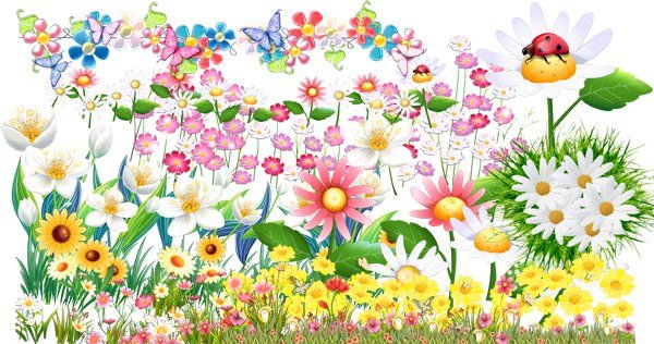 Группа цветочная поляна. Поляна цветов для детей. Цветы мультяшные. Цветочная Поляна мультяшная. Цветы на Поляне мультяшные.
