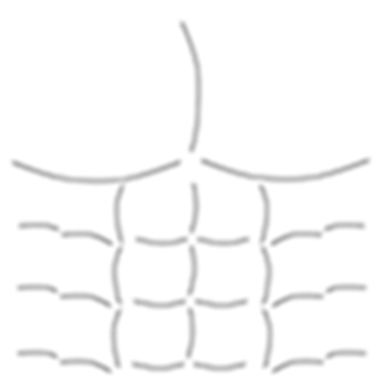 T Shirt Roblox пресс