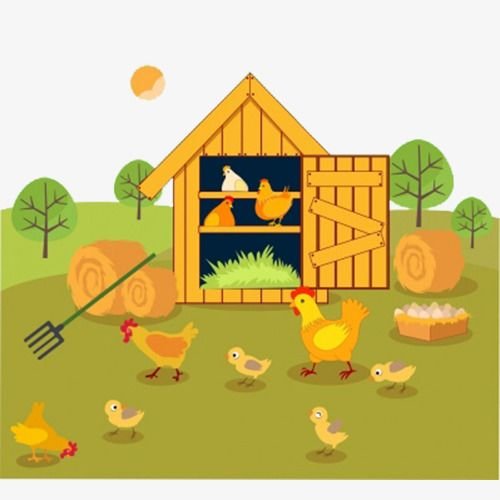 Курятник cartoon
