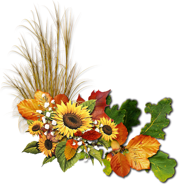 Осенние цветы уголок