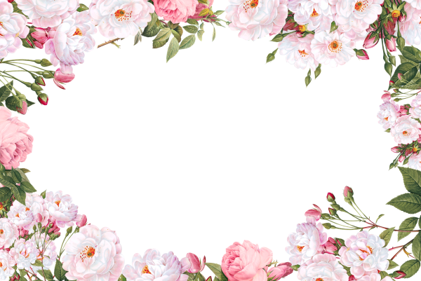 Рамка белого цвета на прозрачном фоне (42 фото)