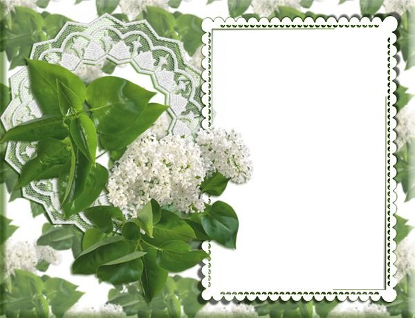 Фоторамка черемуха