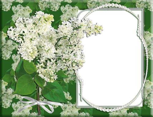 Рамка черемуха