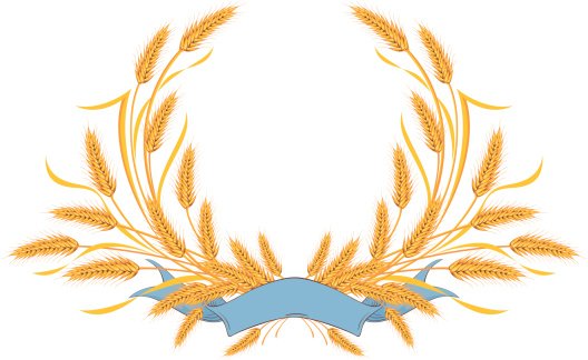 Рамка из Колосков пшеницы