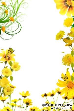 Рамка из желтых цветов