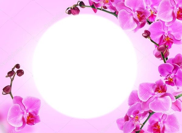 Рамки с цветами орхидеи
